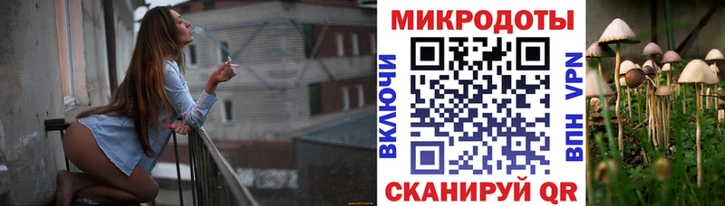 Купить  Фролово  Галлюциногенные грибы Magic Shrooms 